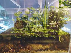 -甜心闲生传统手工冰粉(奎星楼店)