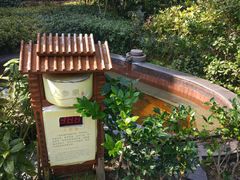 -黄山温泉国际旅游度假区