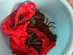 -外滩18号海鲜(三亚湾龙兴海鲜广场店)