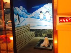 -蓝鲸湾汤泉(包河店)