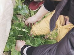 -小鱼草莓采摘园农家乐·小鱼餐厅