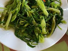 -荔枝红五号农庄