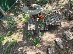 -大连森林动物园