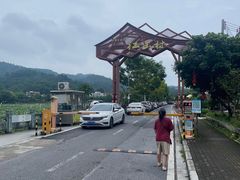 -红山村