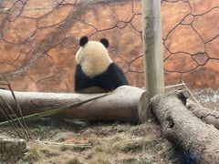 -乐和乐都主题乐园