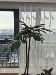 -HEYAN荷妍专业脱毛连锁机构