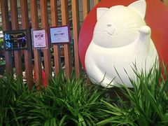 -猫爪爪原切自助烤肉(观音桥阳光世纪店)