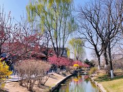 -春风习习