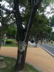 -福州儿童公园