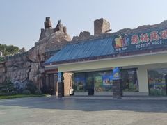 -森波拉奇妙世界