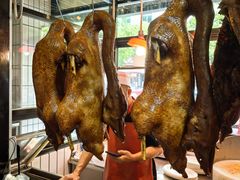 -日日香卤鹅饭店·澄海狮头鹅(澄海店)