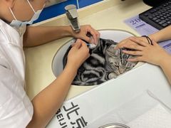 -宠福鑫动物医院(立水桥分院)