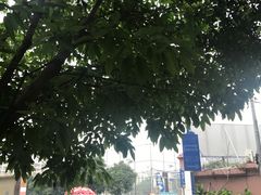 -燕子岗体育场