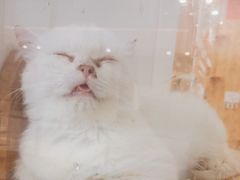-仪征宝能环球汇