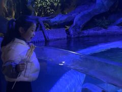 -左海海底世界