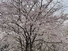 -苏州上方山国家森林公园