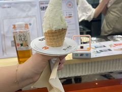 -野人先生现做冰淇淋(西安赛格店)