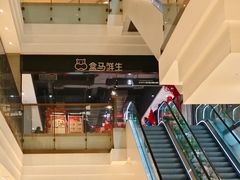 -盒马鲜生(领丰汇店)