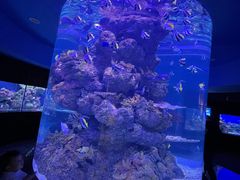 -成都浩海立方海洋公园