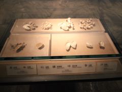 -烟台市博物馆