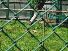 -秦皇岛野生动物园