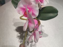 -大鸭梨烤鸭(望京店)