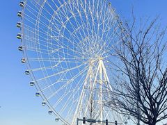 -南昌之星摩天轮