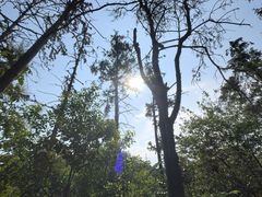 -青龙山国家森林公园