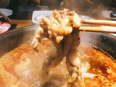 -老天桥蛙炉火锅(姑苏总店)