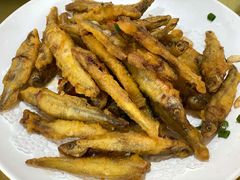 -鲤鱼塘农家山庄