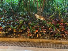 -海口喜来登酒店