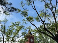 -合肥滨湖国家森林公园