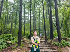 -鲁山国家森林公园