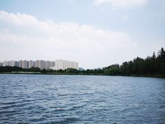 -洋湖国家湿地公园