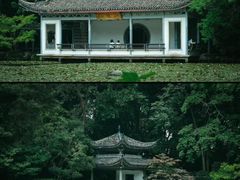 -杭州植物园