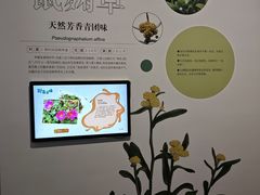 -同里国家湿地公园