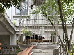 -杭州新新饭店·1913餐厅