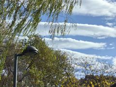 -西湖风景区-江洋畈生态公园