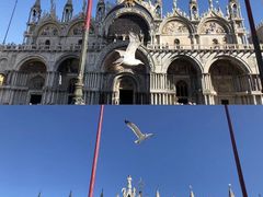 -圣马尔谷圣殿宗主教座堂