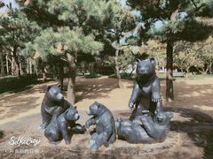 -济州岛泰迪熊博物馆