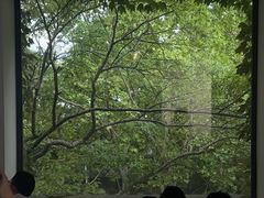 -中国美术学院-美术馆