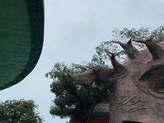 -苏州湾梦幻水世界