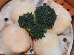 柏悦虾饺皇-宴会中心