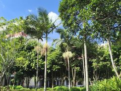 -厦门大学(思明校区)