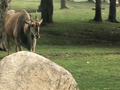 -西安秦岭野生动物园