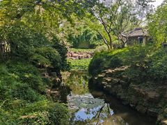 -上海醉白池公园