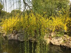 -花溪公园