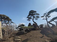 -罗红摄影艺术馆