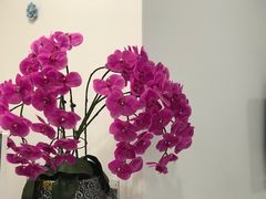 -东方大班·足道·采耳·疗愈SPA(丽都店)