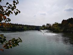 -上海怡沁园度假酒店